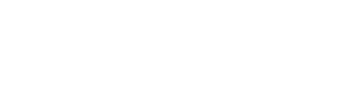 INDoS: Improving Neuroimaging Data for Sharing