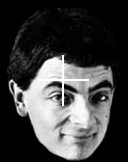 Famous face stimulus