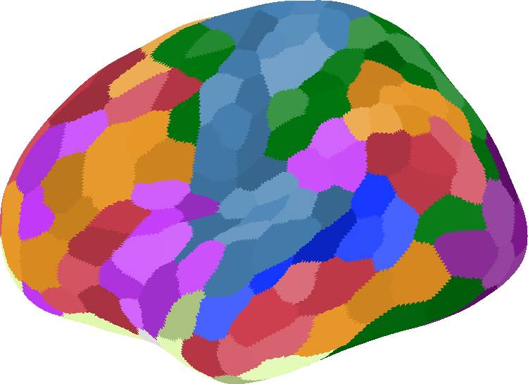 Schaefer atlas on the inflated cortical surface